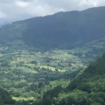 Heavenly View *